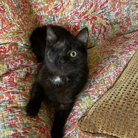 FOLLOW THE JONESES TO 400K! - Picture 9 of 16